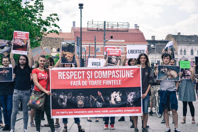 Miting al veganilor la Cluj-Napoca, Foto: Facebook/ Vegan in Cluj-Napoca