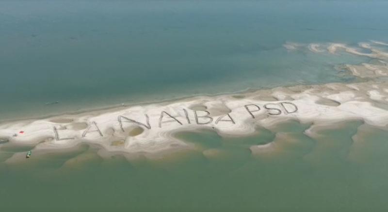 Mesaj anti PSD, Foto: Captura video