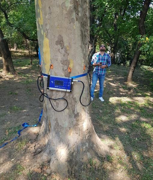 Tomograf arbori, Foto: Hotnews