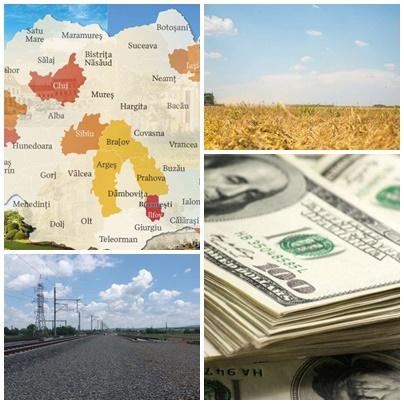 Business Report, Foto: Colaj foto