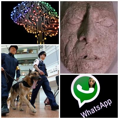 Faze tari, Foto: Colaj foto