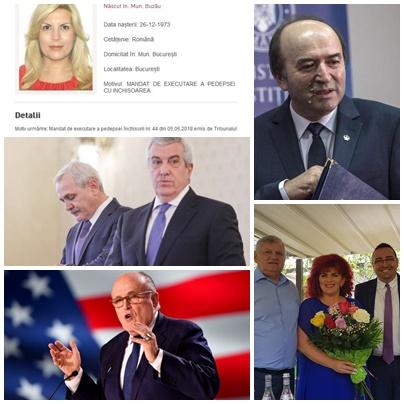 Politic Show, Foto: Colaj foto