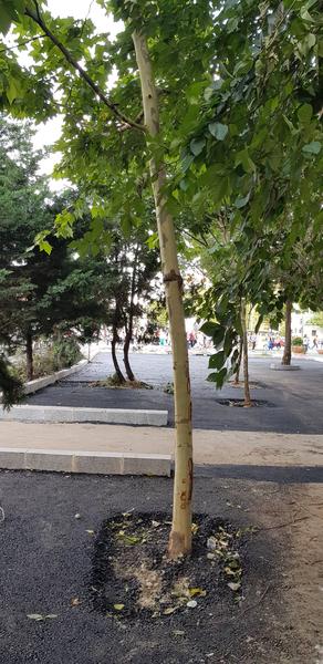 Betonare spaiu verde os. Olteniei 54 - 3, Foto: Hotnews