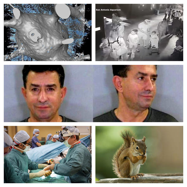 Faze tari, Foto: Colaj foto