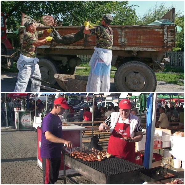 Pesta porcina, Foto: Hotnews