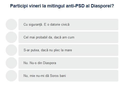 Sondaj protest diaspora, Foto: Hotnews