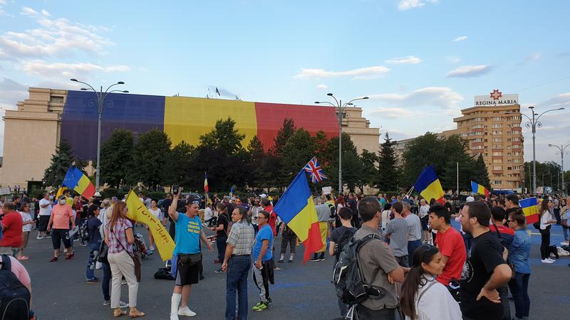Protest Piata Victoriei (foto arhiva), Foto: Hotnews