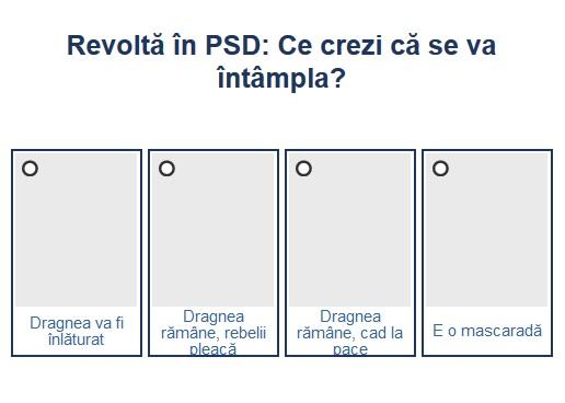 Sondaj revolta PSD, Foto: Hotnews