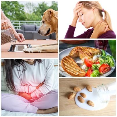 Utile, Foto: Colaj foto