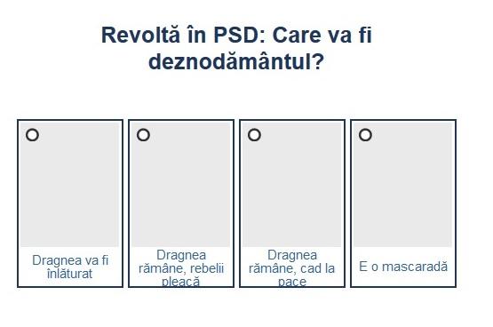 Sondaj revolt PSD II, Foto: Hotnews