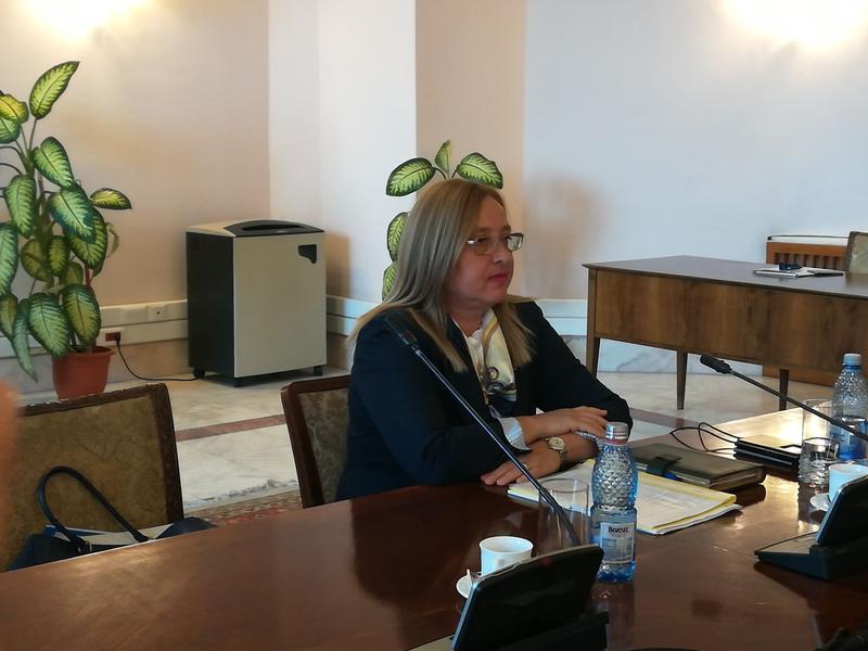 Speranta Cliseru, in Parlament, Foto: Hotnews