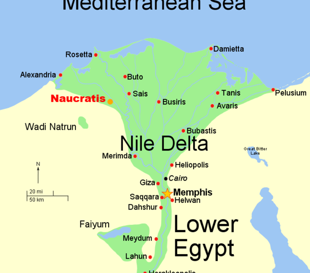 Hart Delta Nilului, Foto: Wikipedia