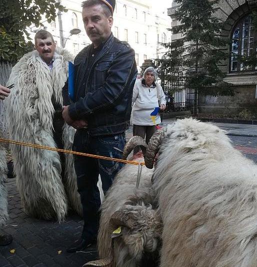 Protest al ciobanilor, Foto: Hotnews