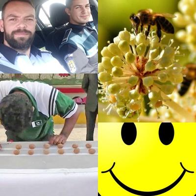 faze tari, Foto: Colaj foto