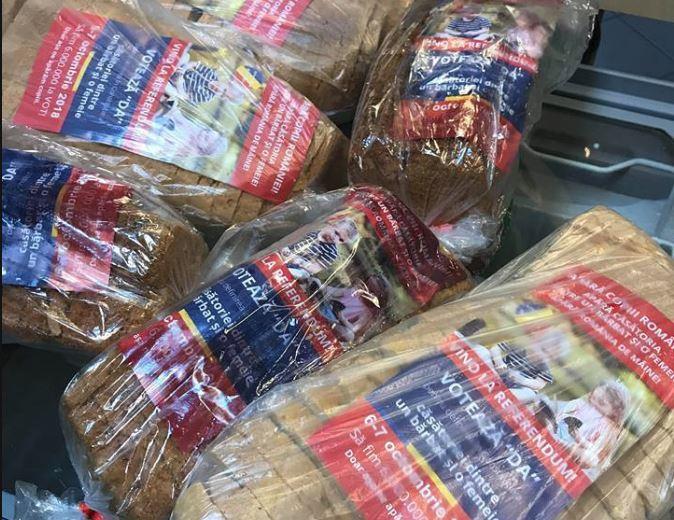 Paine cu pliante pro-referendum, Foto: Facebook / Cristina Rusu