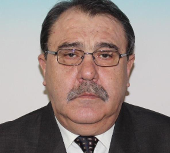 Viorel Stan, Foto: Camera Deputatilor