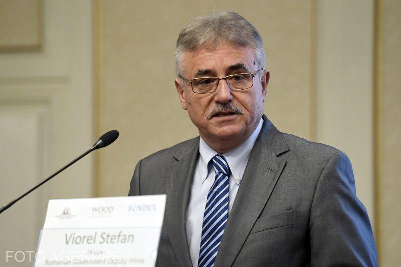 Viorel Stefan, Foto: AGERPRES