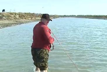 Seaca Delta Dunarii, Foto: Captura Digi 24