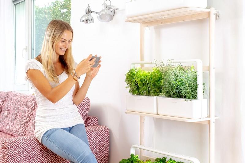 Click & Grow, Foto: Hotnews