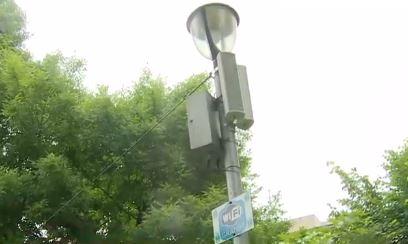 Boxe publice din Alexandria, Foto: Captura Digi 24