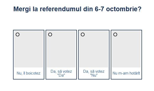 Sondaj referendum, Foto: Hotnews