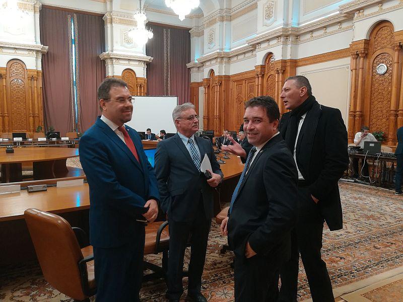 Leonardo Badea și Viorel Ștefan, la audierile ASF, Foto: Hotnews