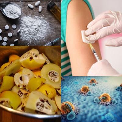 utile, Foto: Colaj foto