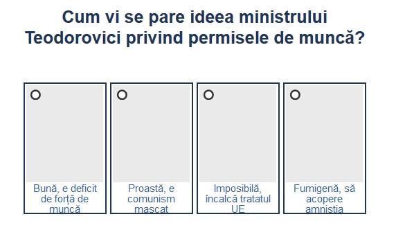 Sondaj Teodorovici permise de munca, Foto: Hotnews