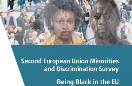 studiu privind rasismul in UE, Foto: Captura