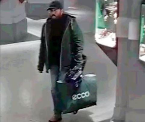 Suspectat că a furat un tablou de Renoir, Foto: Captura YouTube