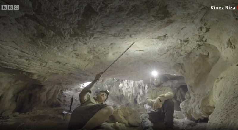 descoperire pictura Borneo, Foto: Captura BBC