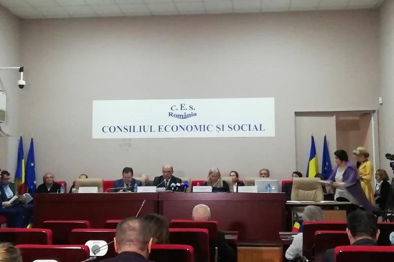 Sedinta Consiliului Economic si Social, Foto: Hotnews