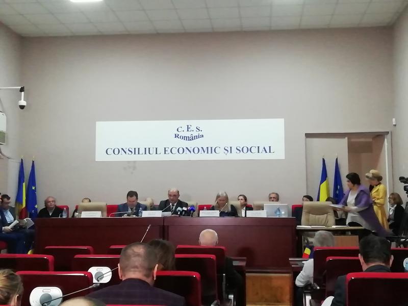 Sedinta Consiliului Economic si Social, Foto: Hotnews