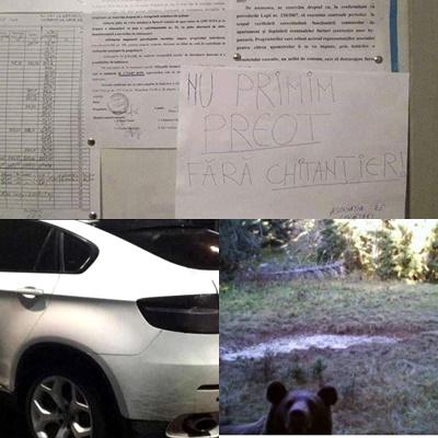 faze tari, Foto: Colaj foto