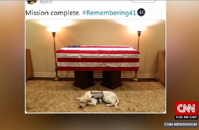 Cainele lui Bush, Foto: Captura CNN