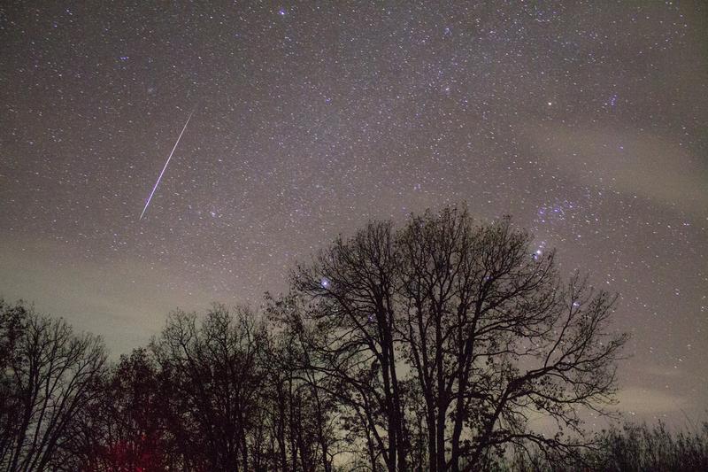 Stele cazatoare, Foto: Observatorul Astronomic Vasile Parvan Barlad