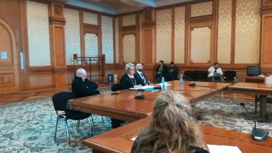 Doina Gradea - audieri la Parlament, Foto: Hotnews