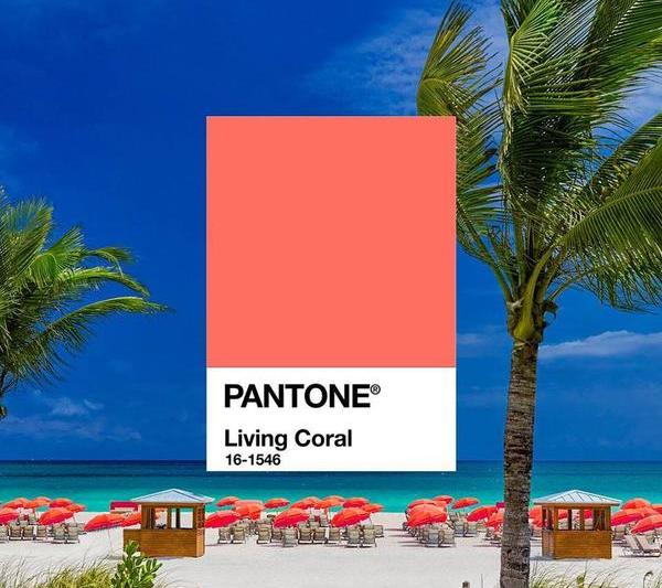 LIVING CORAL, Foto: pantone