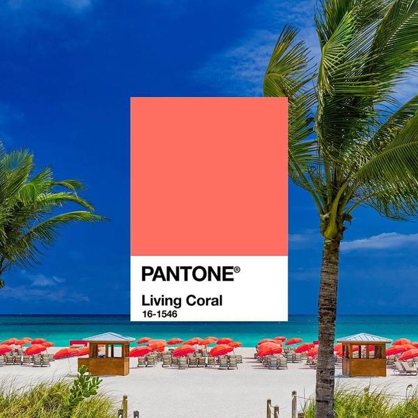 LIVING CORAL, Foto: pantone
