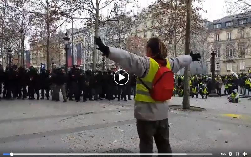 Protestatar in Paris, Foto: Captura Facebook