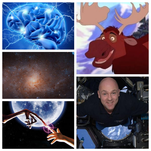 faze tari, Foto: Colaj foto