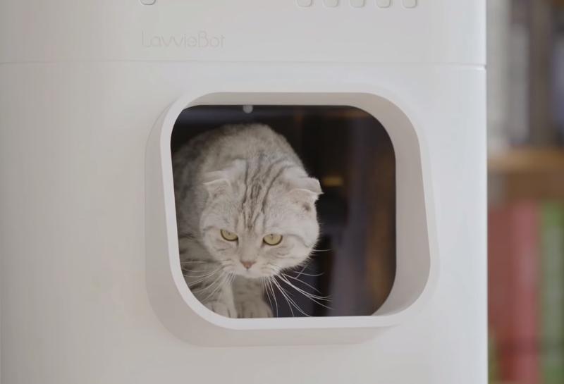 Litiera inteligenta, Foto: Captura YouTube - PurrSong