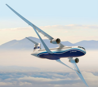 Aripa transonica, Foto: Hotnews