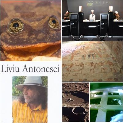 faze tari, Foto: Colaj foto