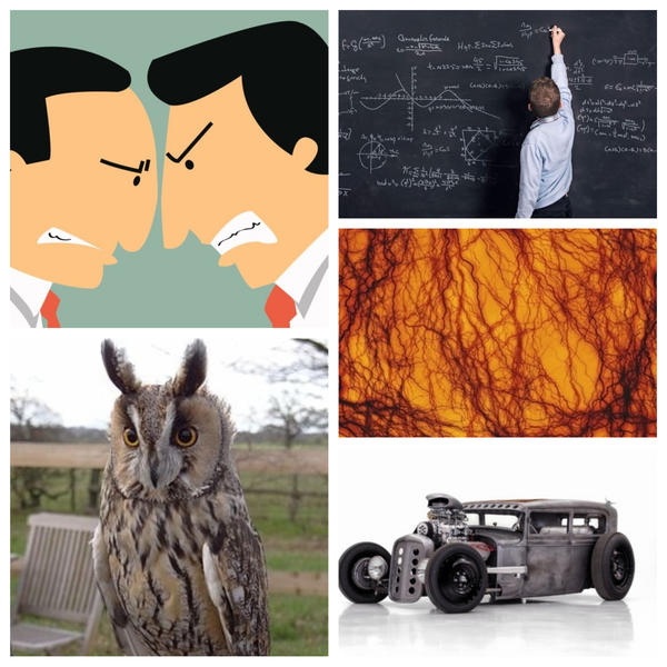 faze tari, Foto: Colaj foto