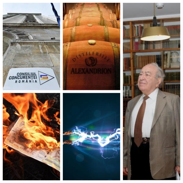 business report, Foto: Colaj foto