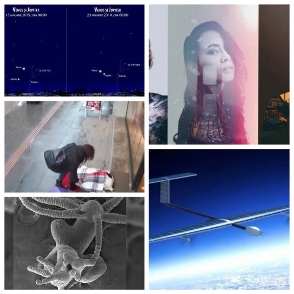 Faze tari, Foto: Colaj foto