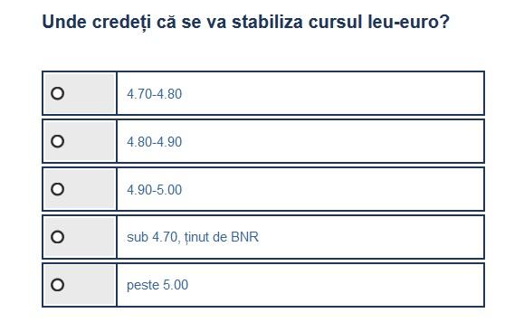 Sondaj curs leu-euro, Foto: Hotnews