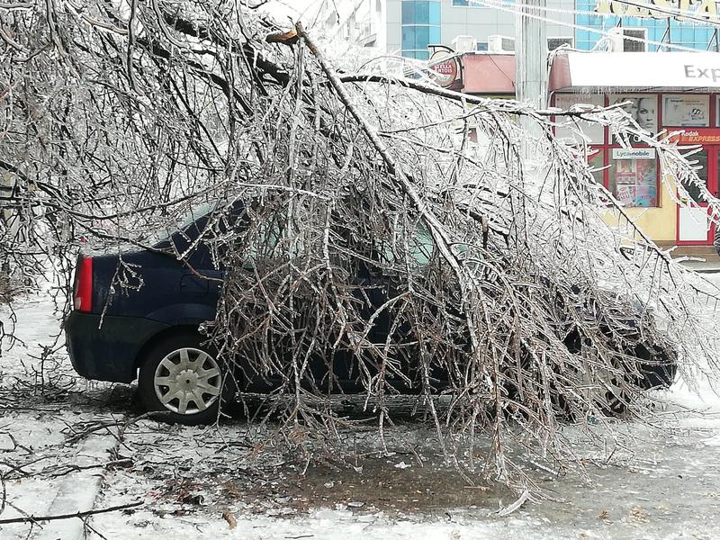 copac cazut peste masina, Foto: Hotnews