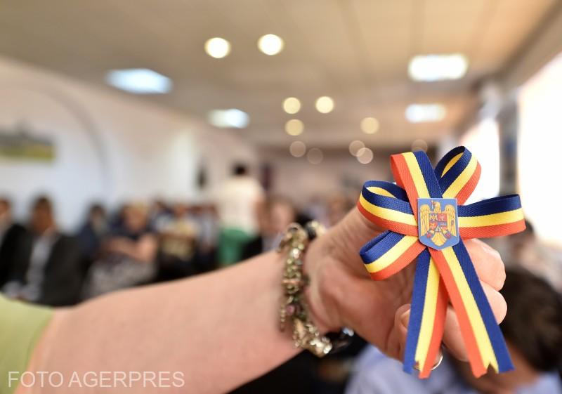 Cocarda primita de viitorii cetateni romani, Foto: AGERPRES